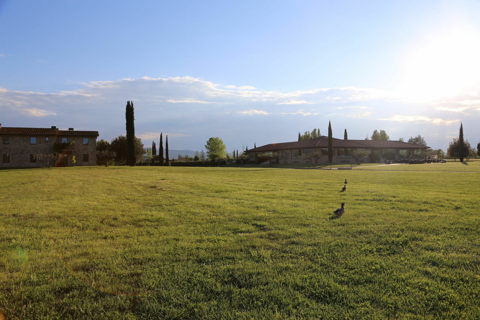 Valle Di Assisi Country Apartments Exterior foto