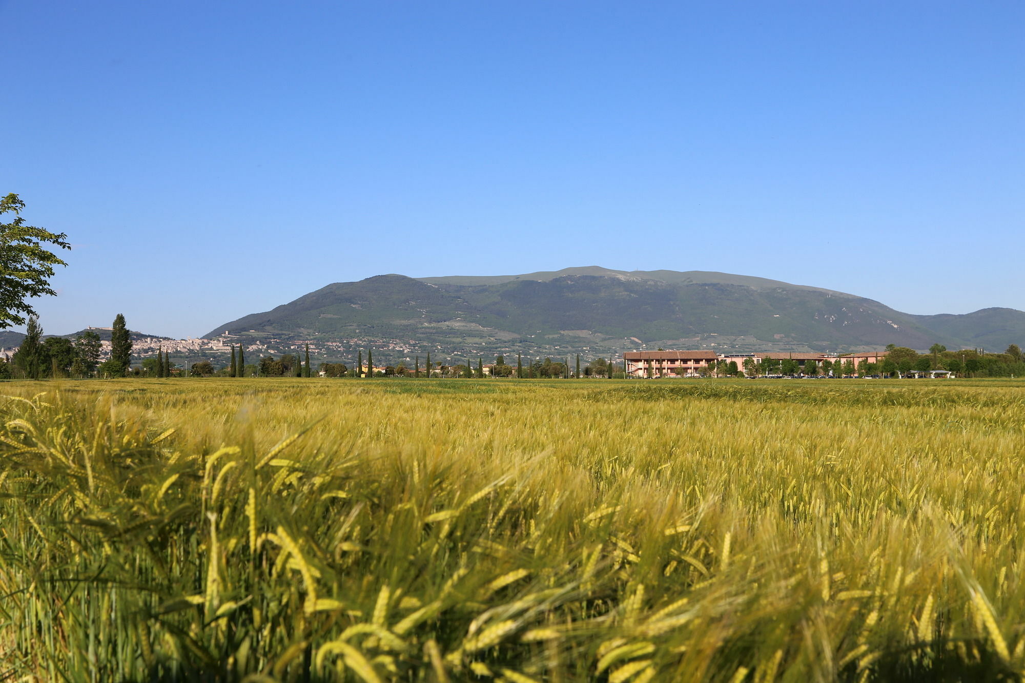 Valle Di Assisi Country Apartments Exterior foto