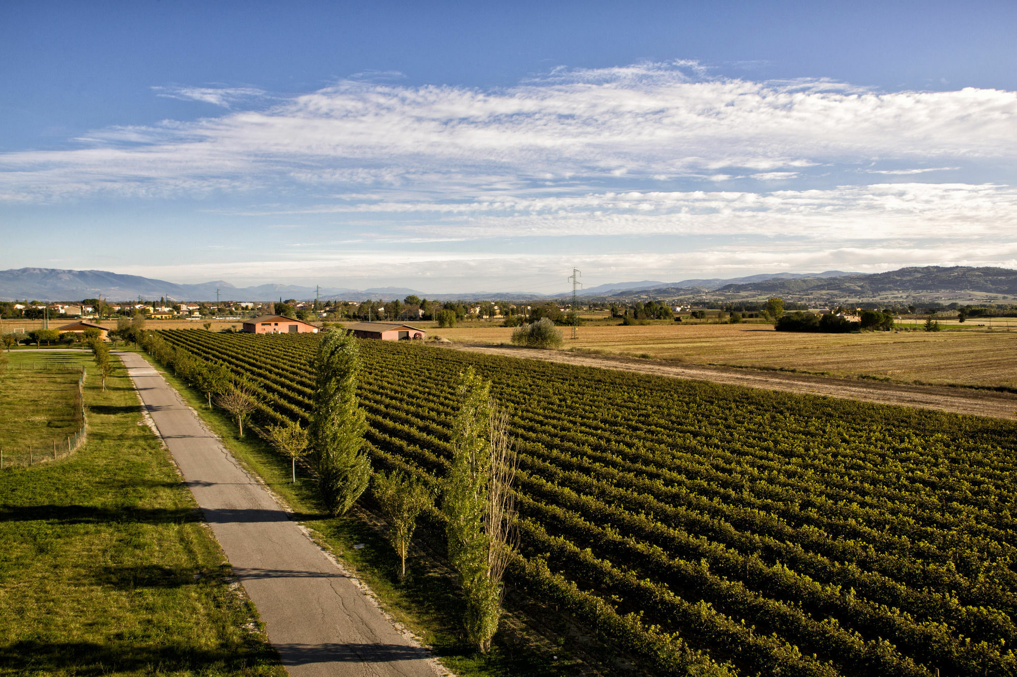 Valle Di Assisi Country Apartments Exterior foto